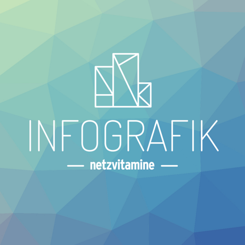 Die netzvitamineINFOGRAFIK zeigt, was Sache ist